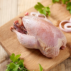 PARTRIDGE WHOLE (sold individually)