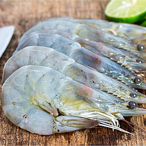 TIGER PRAWNS (sold each)