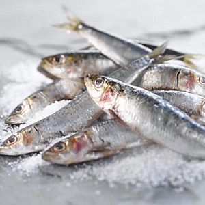 FRESH SARDINES (sold in 100 gram bags)