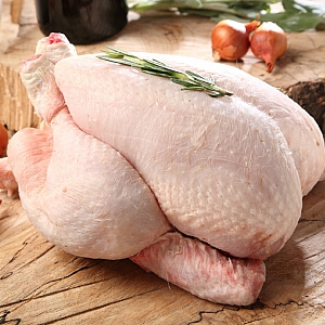 TURKEY WHOLE FROZEN