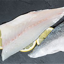 FRESH SEA BASS, & FILLETS