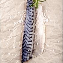 FRESH MACKEREL, & FILLETS