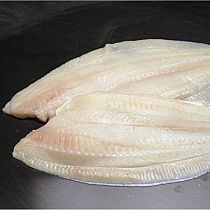 FRESH LEMON SOLE FILLETS