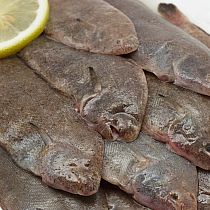 FRESH LEMON SOLE FILLETS