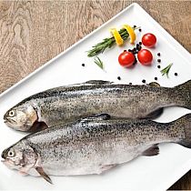 FRESH TROUT & FILLETS (sold each)